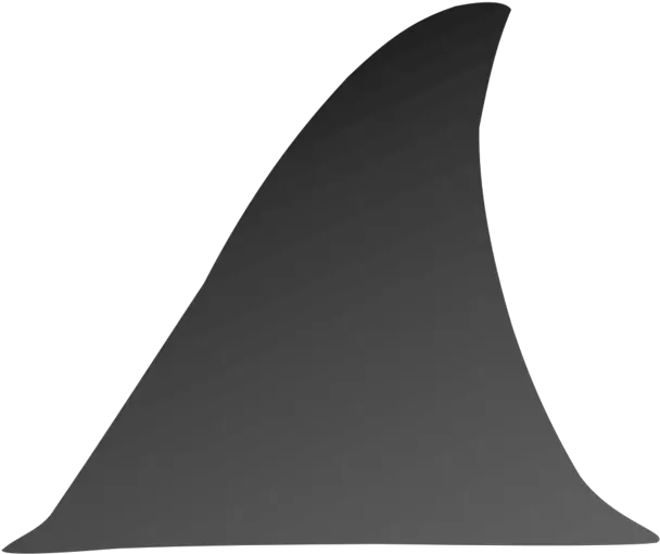 Download Fins Clipart Shark Fin Shark Fin Clipart Transparent Background Png Fin Png