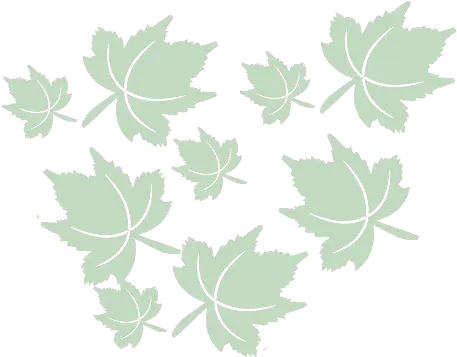 Spring Maple Leaf Png Spring Background Png