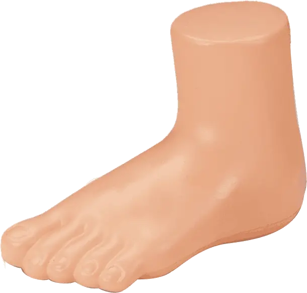 Download Free Png 15 Transparent Foot Foot With Transparent Background Feet Transparent