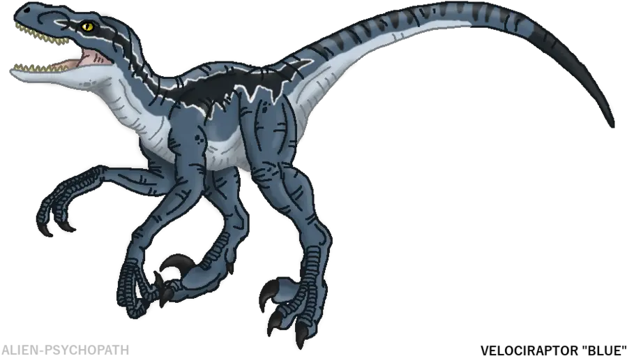 Jurassic Park Blue Clipart Draw T Rex Jurassic World Png Velociraptor Png