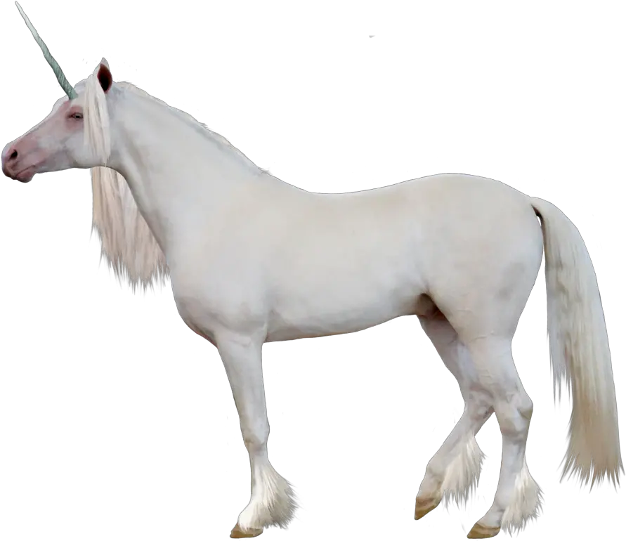 Unicorn Png Image Unicorn Side View Unicorn Transparent Background