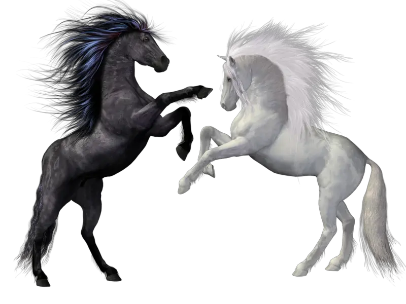 Horse Cliparts Transparent Free Download Clip Art Black Or White Horse Png Horse Transparent Background