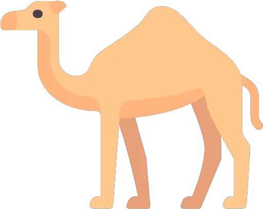 Camel Camel Icon Png Camel Png