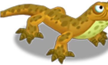 Monitor Lizard Zoocraft Wiki Fandom Gekkonidae Png Lizard Transparent