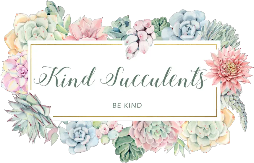 Download Kind Succulents Garden Roses Full Size Png Garden Roses Succulents Png