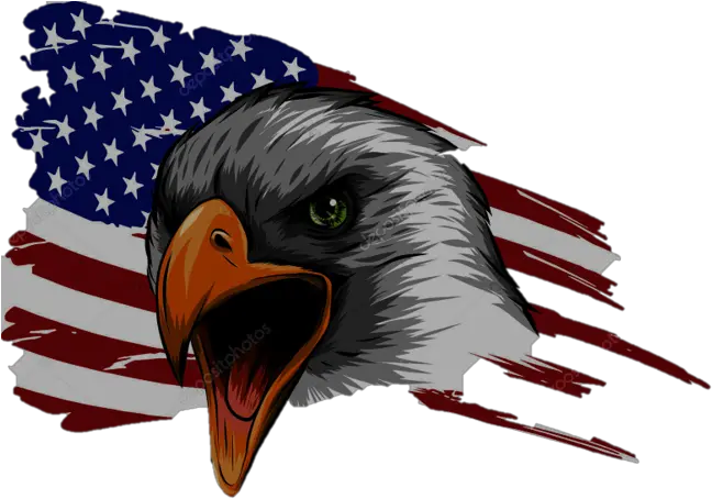 Chester American Flag White Eagle Clipart Full Size American Flag Eagle Transparent Png American Flag Eagle Png