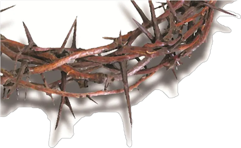 Church Crown Of Thornes Transparent Png Crown Of Thorns Transparent Background