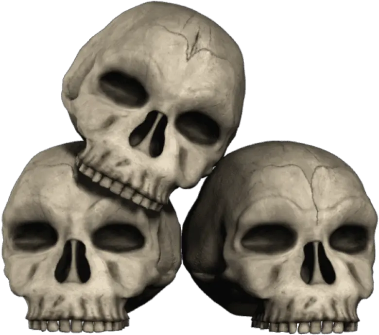 Transparent Skulls Png Clipart Transparent Skulls Png Skull Png Transparent