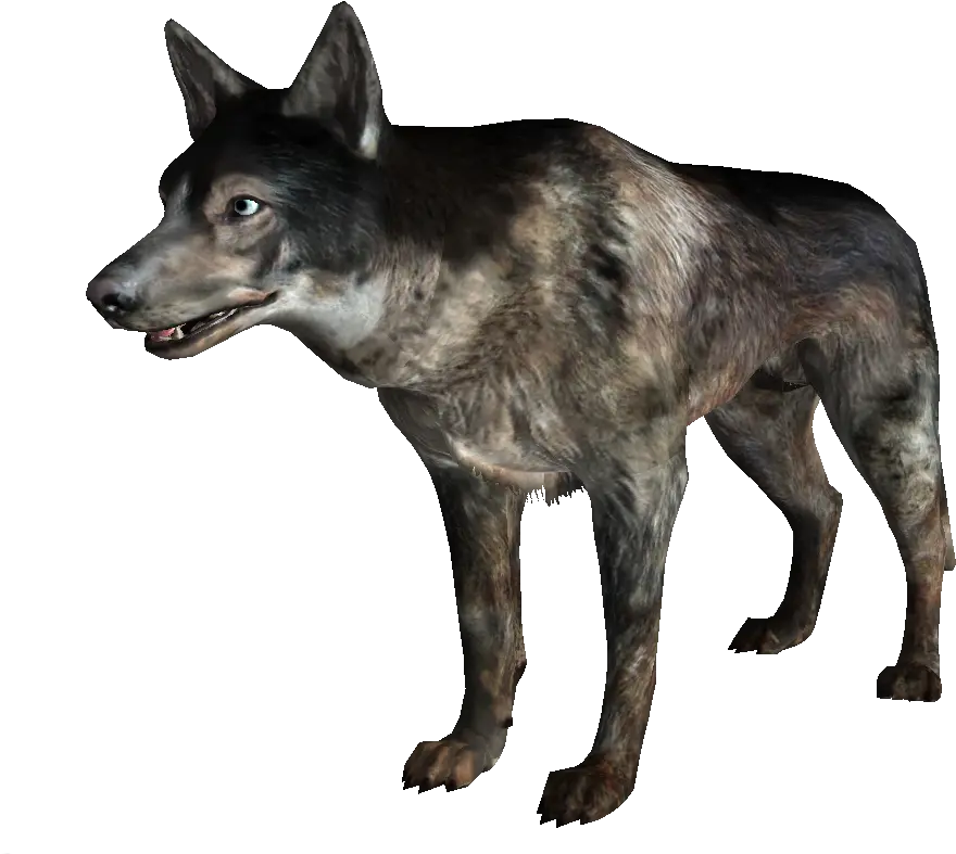 Dog Fallout 3 Wiki Fandom Dogmeat Fallout 3 Png Dogs Png