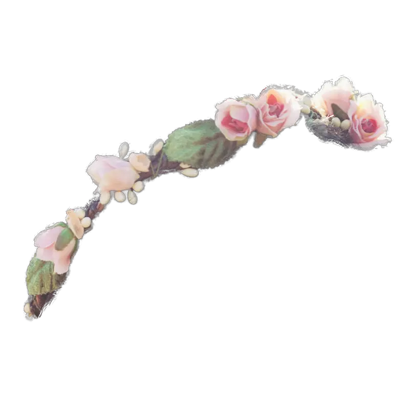 Small Flower Crown Png Flower Crown Png Flower Crown Transparent