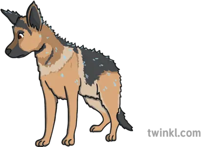 Ali The Alsatian Wet Try To Look Fluffy Sad Dog Character Collar Png Sad Dog Png