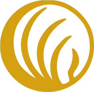 About Nami Illinois Nami Logo National Alliance On Mental Illness Logo Png Nami Transparent
