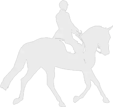 Horse Riding West Sussex Bridle Png Horse Rider Icon