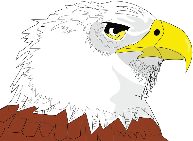 Bald Eagle Face Clipart Bald Eagle Png Bald Eagle Head Png