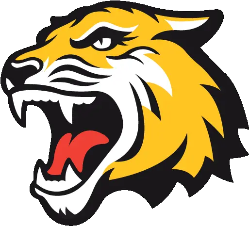 Tiger Icon Png Dream League Soccer 2020 Logo Tiger Logo Png