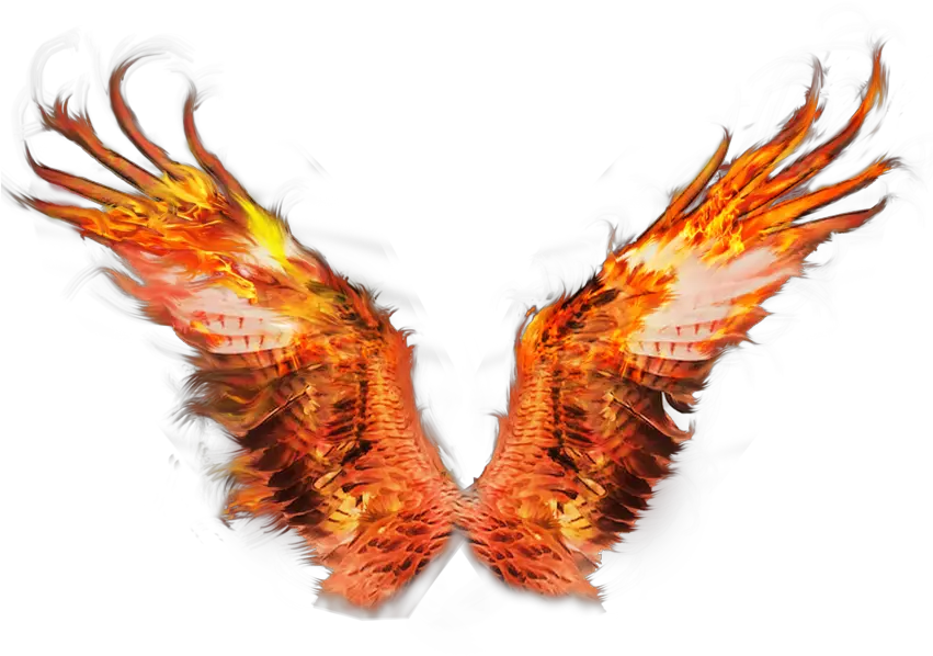 Download Wings Tigers Fire Wing Png Transparent Png Image Fire Wings Png Wings Png Transparent