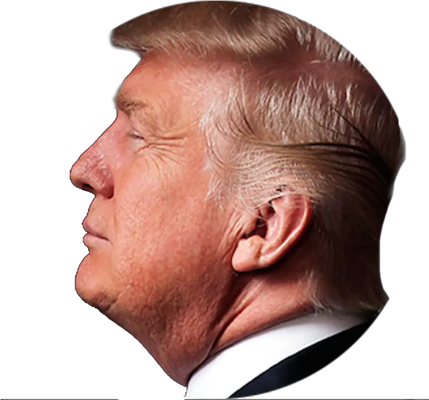 Download Hd Donald Trump His Children Trump Head Png Trump Head Transparent Background