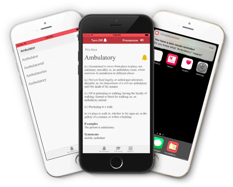 Niku0027s Quickshout Remember More Words With This Free Vertical Png Dictionary App Icon