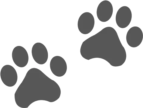 Transparent Png Svg Vector File Black And White Paw Print Cat Icon Png