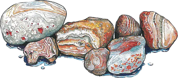 The Rock Pickeru0027s Guide To Lake Superior Northern Wilds Lake Superior Agate Drawing Png Rocks Transparent