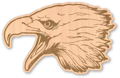 Eagle Head Eagle Head Drawing Png Bald Eagle Head Png