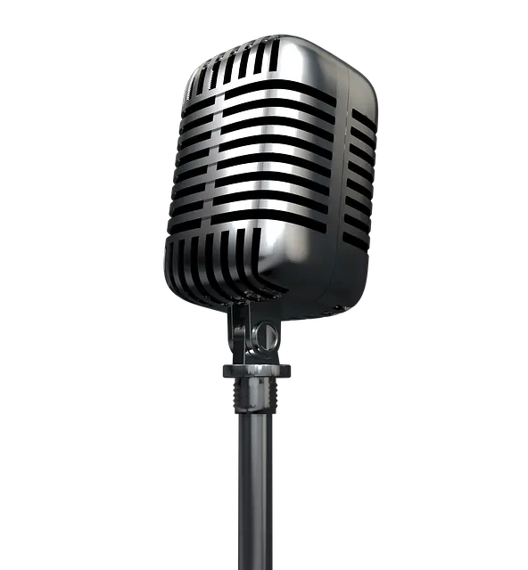 Microphone Illustration Png