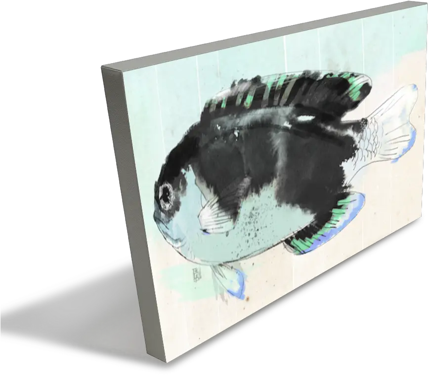 Download School Of Fish Fish Png School Of Fish Png