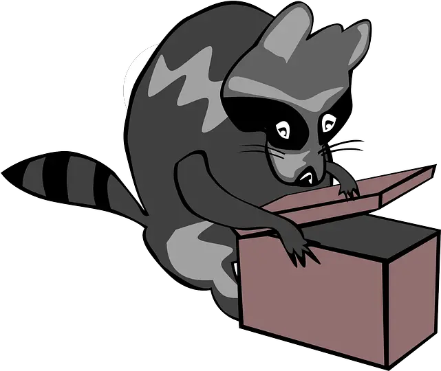 Opening Box Google Search Pet Raccoon Mammals Clip Art Open Clipart Png Raccoon Png