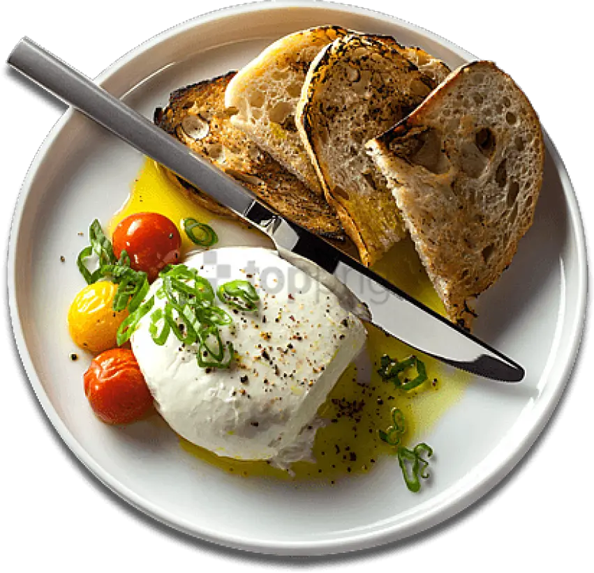 Food Plate Png Top View 4 Image Food Plate Top View Png Food Plate Png