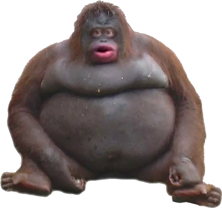 Le Monke Uh Oh Stinky Uh Oh Stinky Monkey Png Monkey Transparent Background