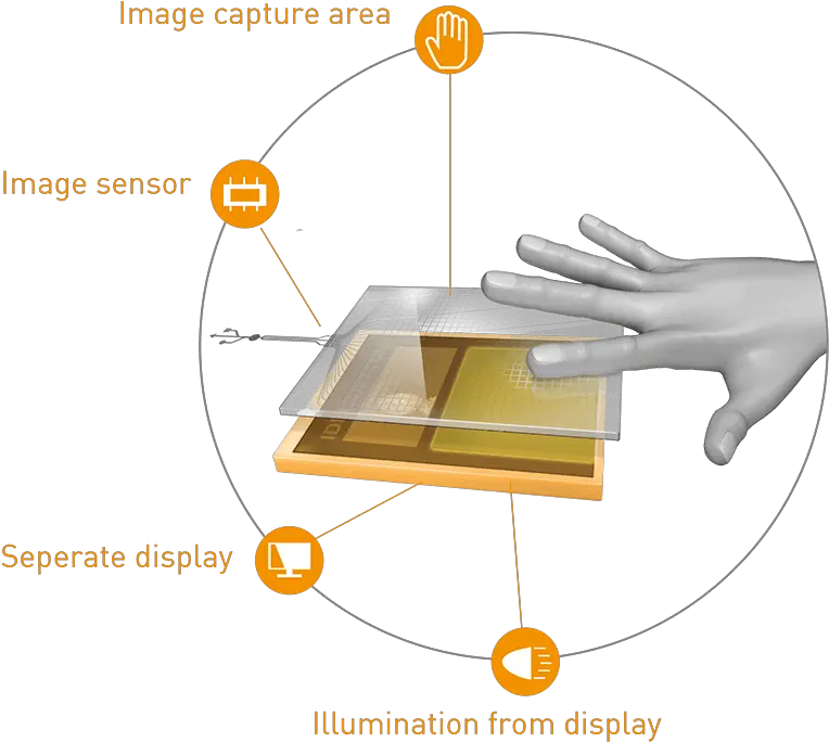 Technology Tft Optical Fingerprint Sensor Png Fingerprint Transparent