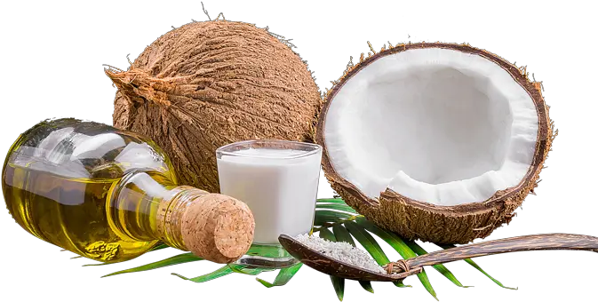 Coconut Png Pictures Fresh Fruits Tropical Free Coconut Products Coconut Transparent