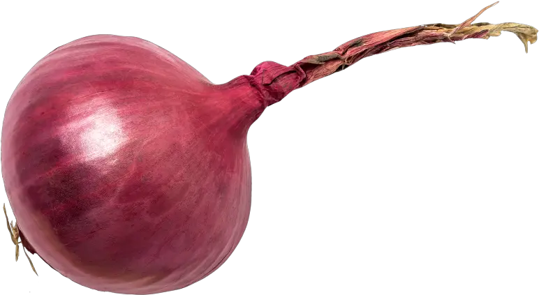 Red Onion Full Size Png Download Seekpng Transparent Red Onion Onion Png