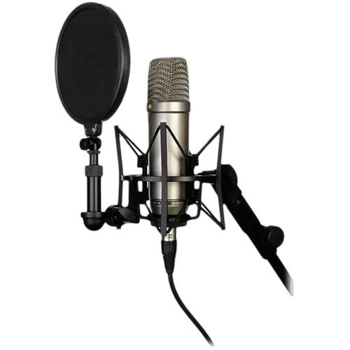 Icon Microphone Png