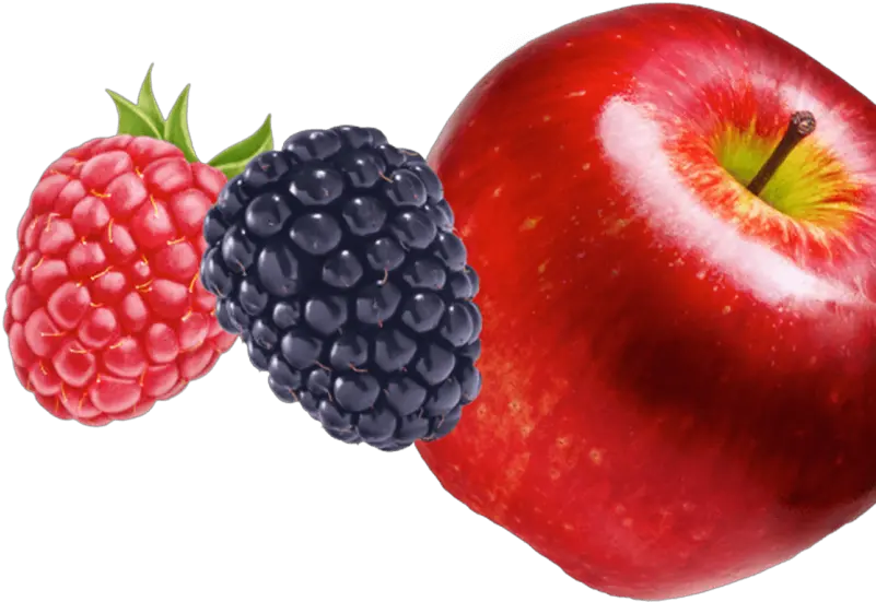 Berry Vector Mix Fruit Transparent U0026 Png Clipart Free Apple And Berries Clipart Berries Png