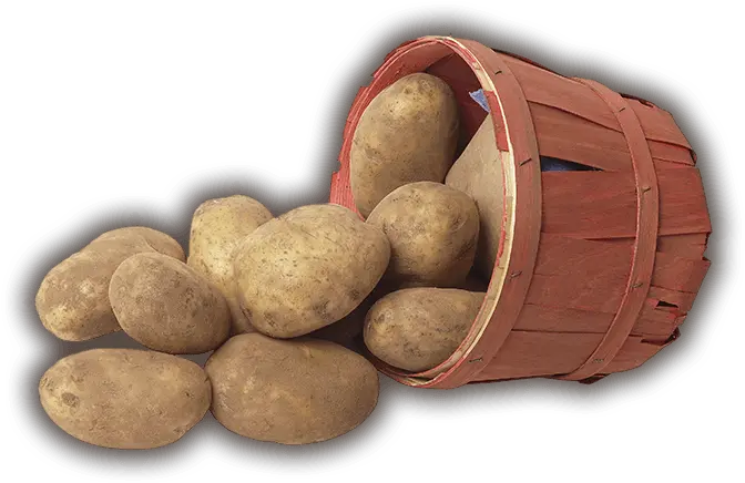 Welcome To The Maine Potato Board Maine Potato Board Potato In Farmer Png Potatoes Png