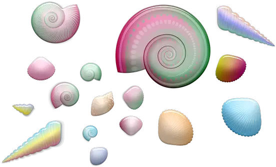 100 Free Seashell U0026 Shell Illustrations Pixabay Clip Art Png Seashell Transparent