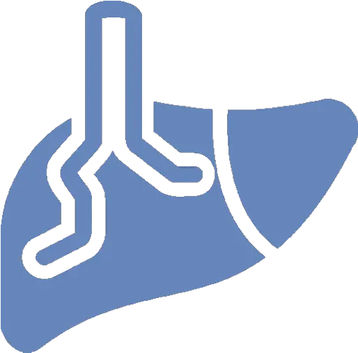 Liver Icon Moonee Valley Specialist Centre Vertical Png Valley Icon