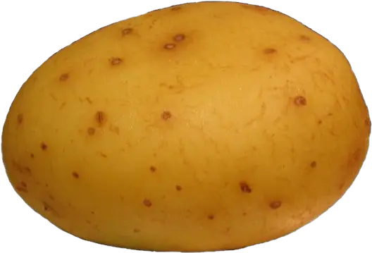 Potato Potato Png Potatoes Png