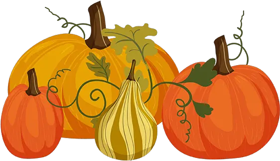 Png Autumn Pumpkins Pumpkins Png Pumpkins Png