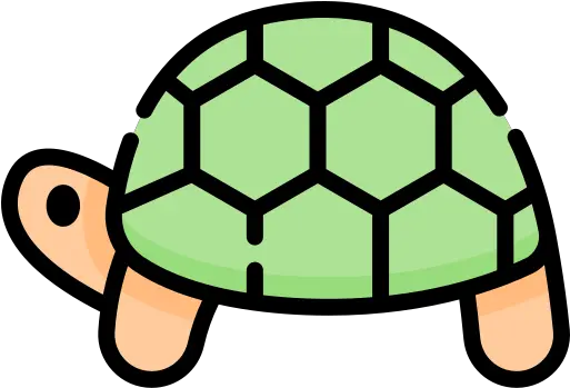 Tablero Características De Animales By Teresa Sanchez Global Leadership Icon Png Turtle Shell Icon