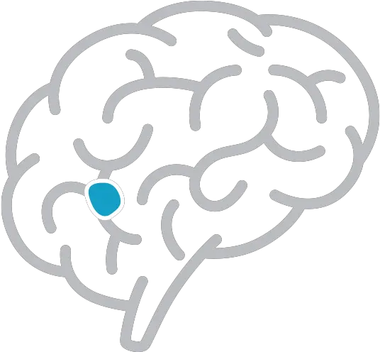 Metropolitan Neurosurgery Neurological Conditions Brain Silhouette Png Brain Icon Vector