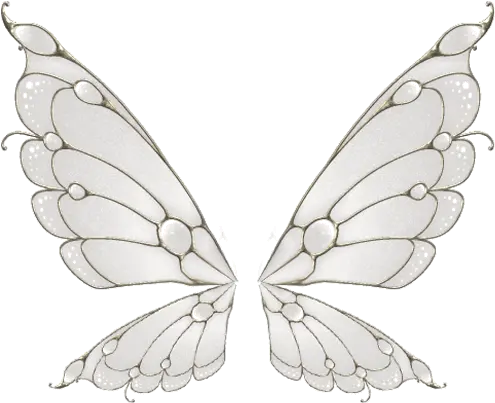 Wing Butterfly Png Image White Butterfly Wings Png Butterfly Wing Png