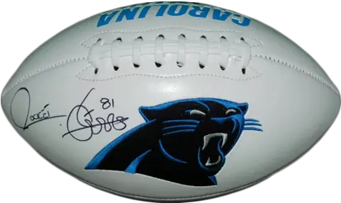 Carolina Panthers Logo Football Carolina Panthers Png Panthers Logo Png