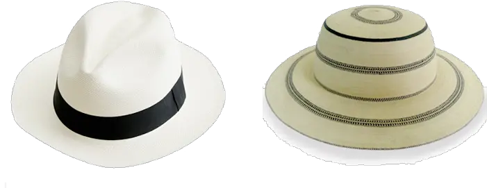 Sombrero Pintado Panama Png Transparent Sombrero Pintado Sombrero Hat Png