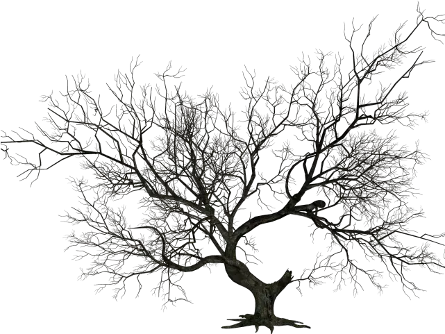 Halloween Tree Clipart Transparent Background Dead Tree Png Graveyard Png