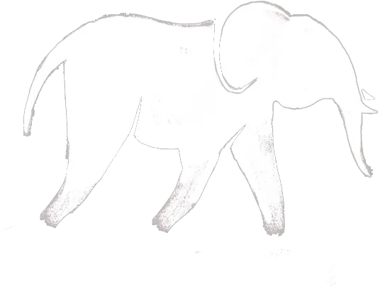 Download Yelephant Icon White Cow Silhouette Png Png Image Indian Elephant Elephant Silhouette Png