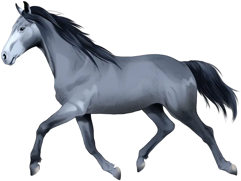 Holsteiner Horse Clipart Free Download Transparent Png Stallion Horse Transparent Png
