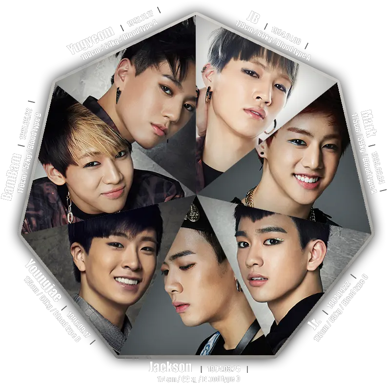 Got7 Hot And Dedicated To Success Got 7 Png Got7 Logo Png