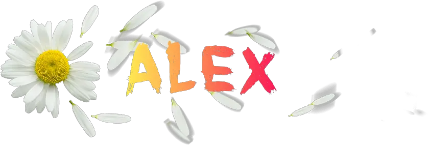 Real Editor Alex Flower Logo Camomile Png Yellow Flower Logo